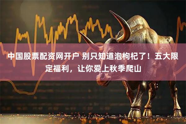 中国股票配资网开户 别只知道泡枸杞了！五大限定福利，让你爱上秋季爬山