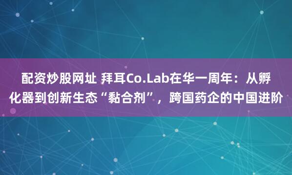 配资炒股网址 拜耳Co.Lab在华一周年：从孵化器到创新生态“黏合剂”，跨国药企的中国进阶