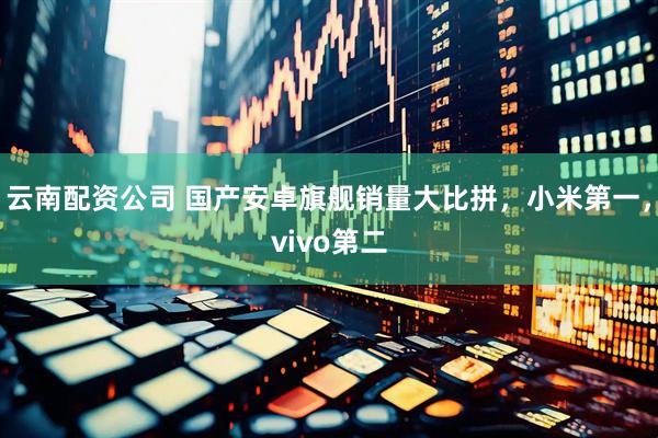 云南配资公司 国产安卓旗舰销量大比拼，小米第一，vivo第二